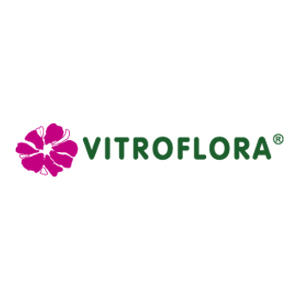 vitroflora